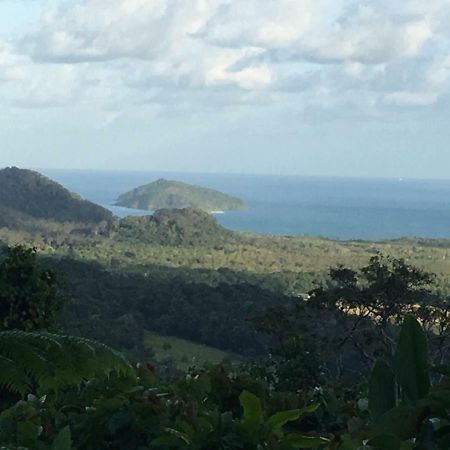 Villa Egrets Rest Daintree Exterior foto