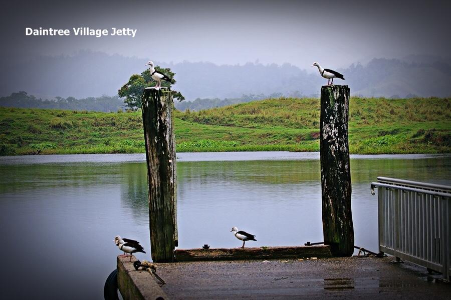 Villa Egrets Rest Daintree Exterior foto